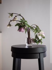 Close-up of potted plant on table at home