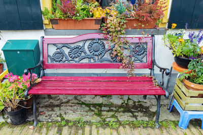 Potted plants on empty bench in yard