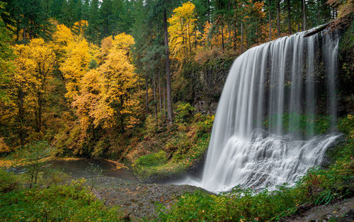 Gorgeous waterfall in silver falls state park, oregon.