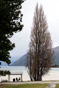 Trees on landscape against sky