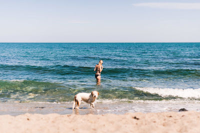 Woman in bikini with dog on shore at beach