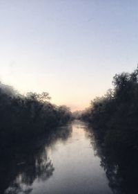 Reflection of trees in water