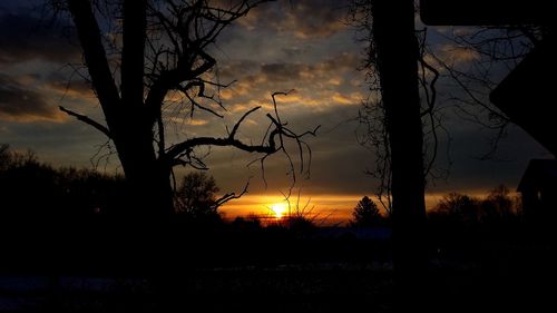 Silhouette of trees against dramatic sky during sunset