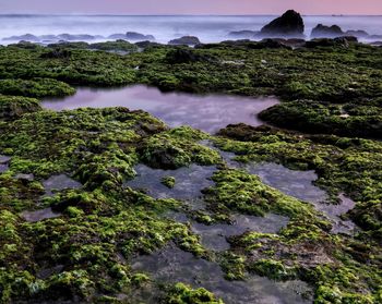 Scenic view of sea and rocks against sky