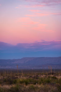 Scenic view of landscape against sky during sunset