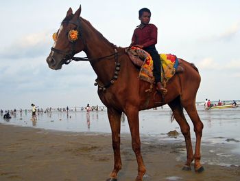 Young man sitting on horse at beach against sky
