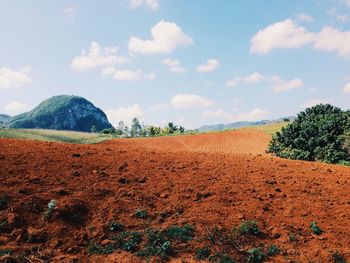 Scenic view of rural landscape against cloudy sky