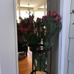 Potted plants on window sill