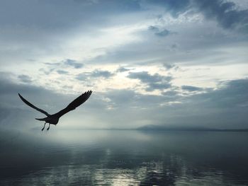 Bird flying over sea against cloudy sky