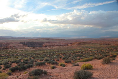 Scenic view of landscape against sky