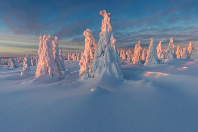 Panoramic view of snow covered land against sky