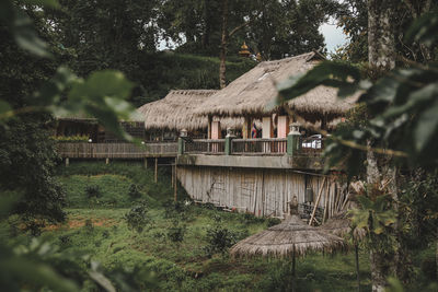 Scenic view of house by trees and plants