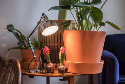 Close-up of potted plant on table at home