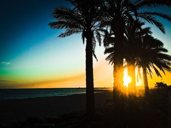 Silhouette of palm trees at sunset