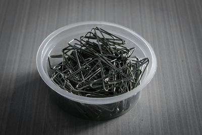 High angle view of plant