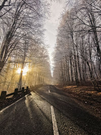 Empty road along bare trees in winter