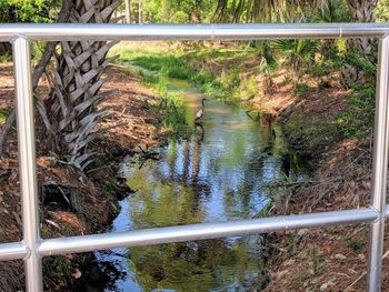 Bridge over canal in forest