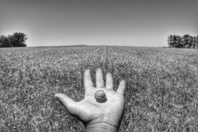 Cropped hand of man holding snail over grassy field against sky