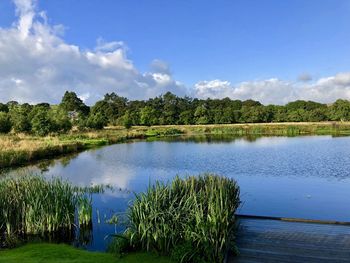 Scenic view of lake against sky