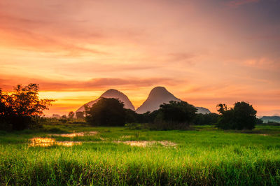 Scenic view of field against sky during sunset