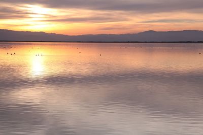 Scenic view of lake at sunset