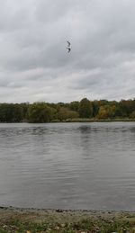 Bird flying over lake against sky