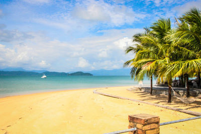 Palm trees on beach against sky