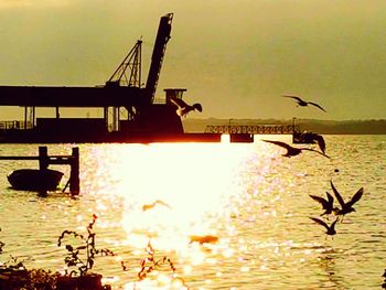 Silhouette birds flying over river against sky