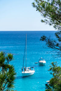 Sailboats in sea against clear sky