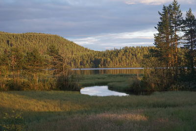 Scenic view of landscape against sky