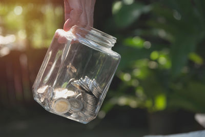 Cropped hand holding jar of coins against plants