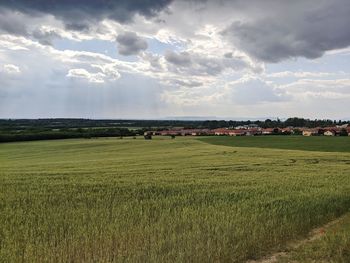 Scenic view of agricultural field against sky