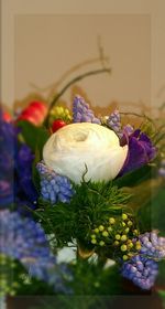 Close-up of purple flowers