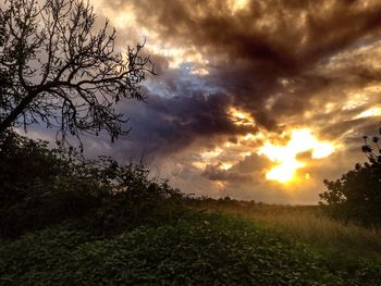 Scenic view of field against cloudy sky