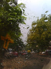 Rain drops on glass window