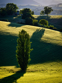 Marche countryside