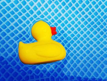 Close-up of yellow rubber duck floating in pool