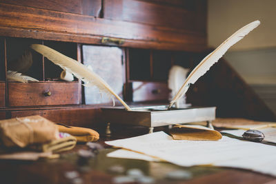 Close-up of feather on table