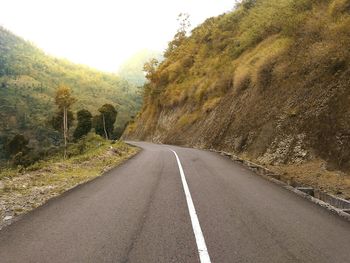 Empty road amidst trees