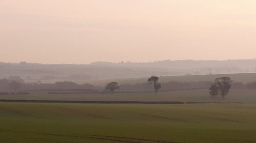 Scenic view of agricultural field against sky during sunset