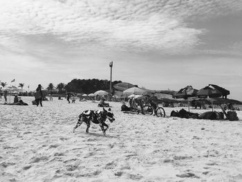 People on beach against sky during winter