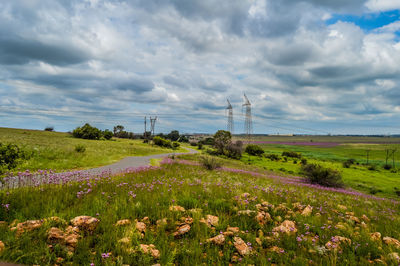 Scenic view of flowering plants on field against sky