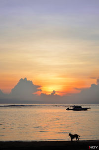 Scenic view of sea at sunset