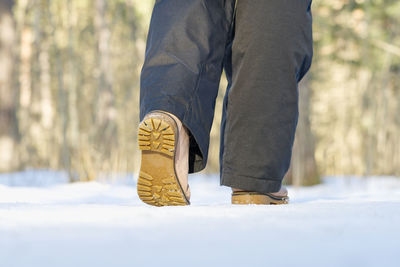 Low section of man standing on snow