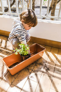 Cute boy playing with oregano plant mud while crouching at balcony