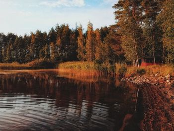 Trees by lake in forest against sky during autumn