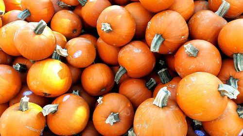 Full frame shot of pumpkins for sale at market stall