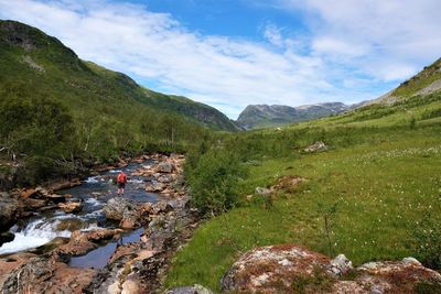 Scenic view of stream amidst plants against sky