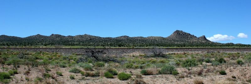 Scenic view of field against clear blue sky