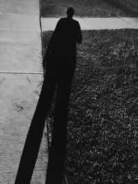 Silhouette trees against the sky